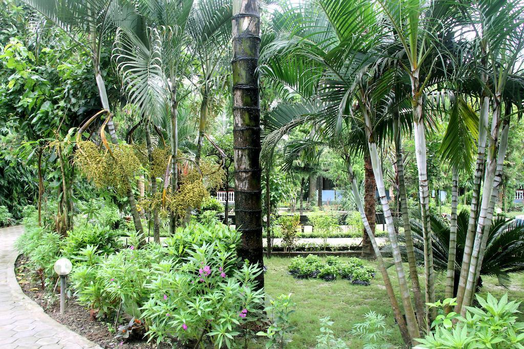 Jungle Safari Resort Sauraha Kültér fotó