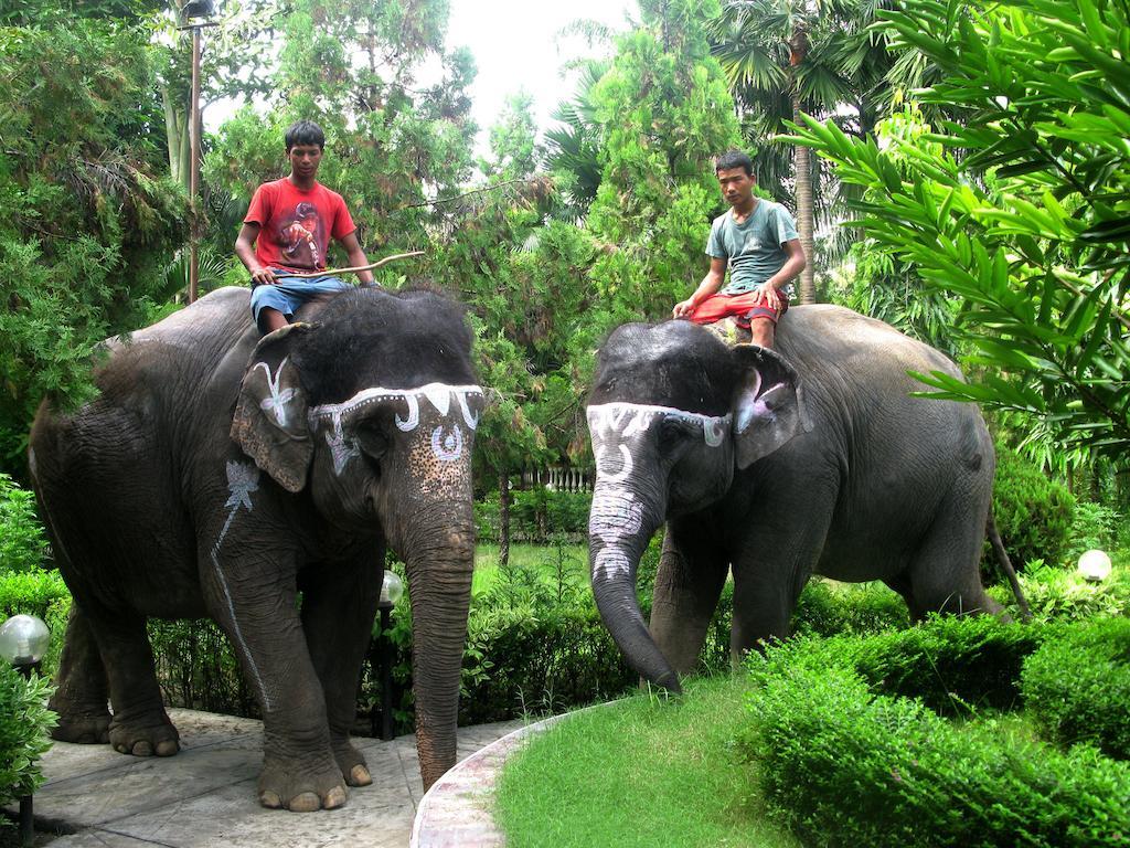 Jungle Safari Resort Sauraha Kültér fotó