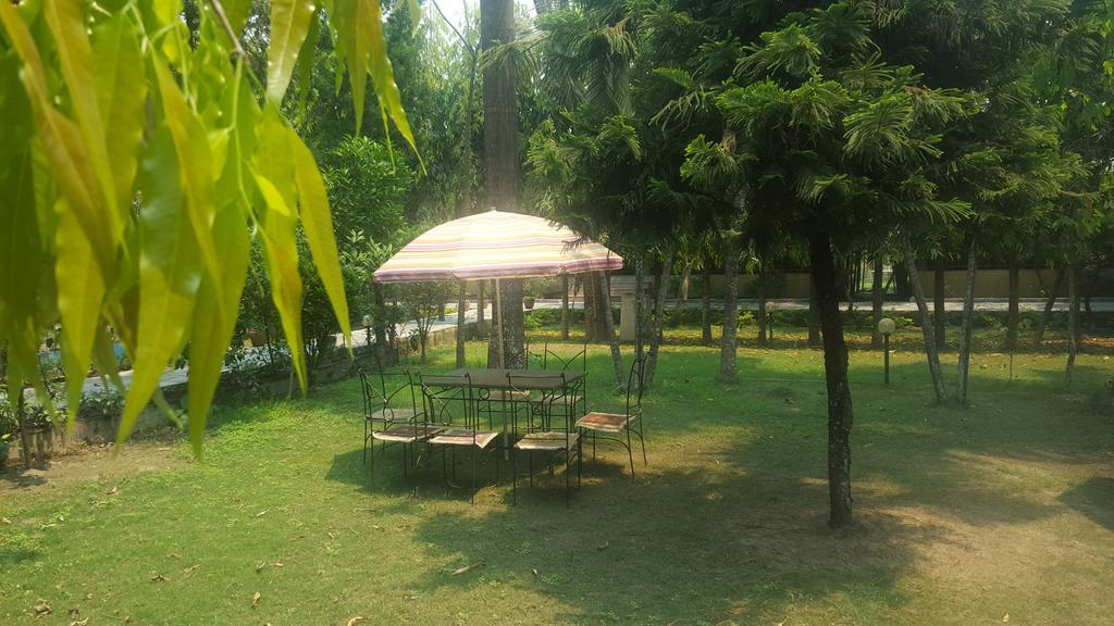 Jungle Safari Resort Sauraha Kültér fotó