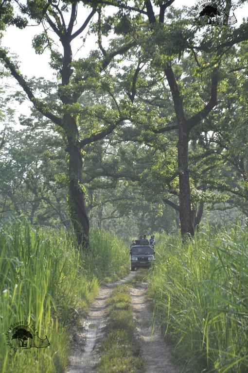 Jungle Safari Resort Sauraha Kültér fotó