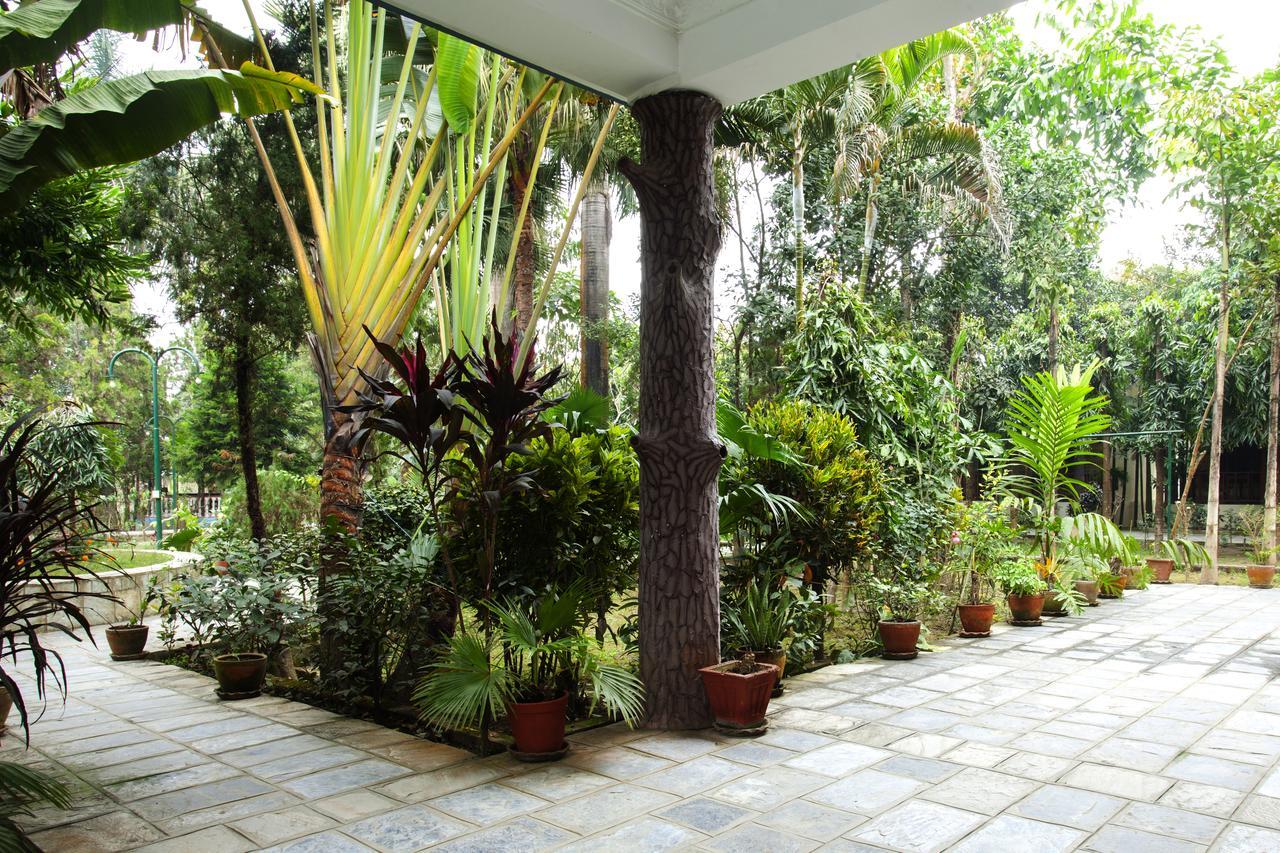 Jungle Safari Resort Sauraha Kültér fotó
