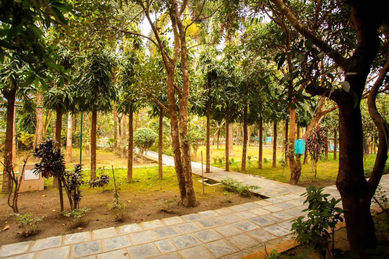 Jungle Safari Resort Sauraha Kültér fotó
